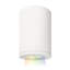 Tube 1 - Light LED Flush Mount-2060585387-2060585383