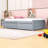 Casstown Twin Daybed with Two Drawers-1676685316