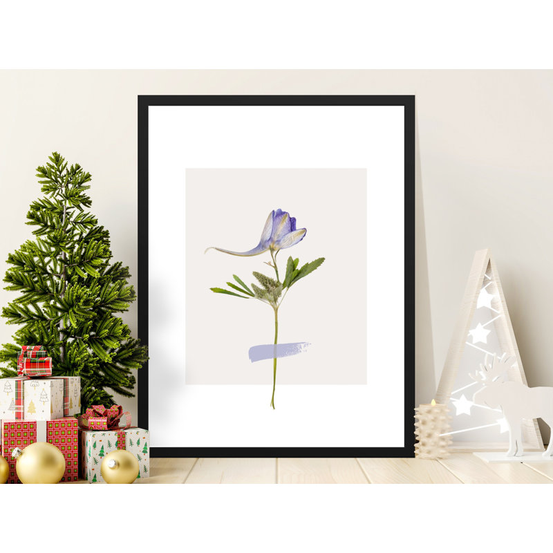 Caudilla Single Picture Frame Print, 30.48 cm H x 20.32 cm W