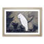 White Cockatoo on a Pine Branch by Ito Jakuchu - Picture Frame Art Prints-55612882-55612884