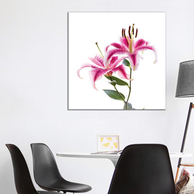 Close-Up Of Stargazer Lily Against White Background - Wrapped Canvas Print