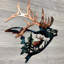 Décoration murale Elk