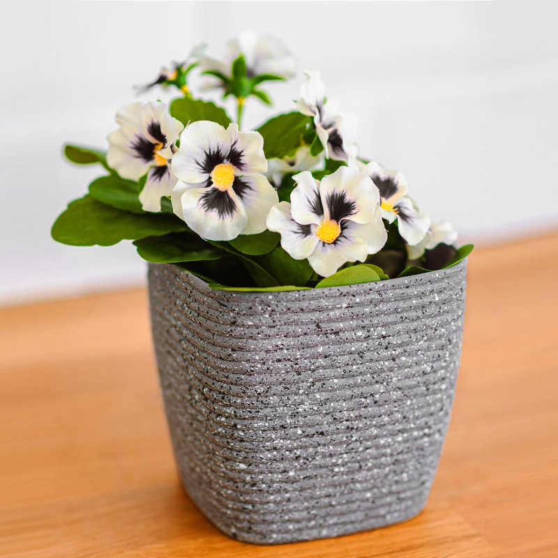 Abellas-Bauzo Pot Planter, Grey