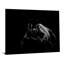 Art mural en verre trempé sans cadre Black Panther - 40 po x 60 po