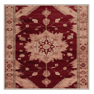Machine Washable Overdyed Brown Area Rug