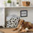 Winston Porter Fabric Decorative Bin-1702703932