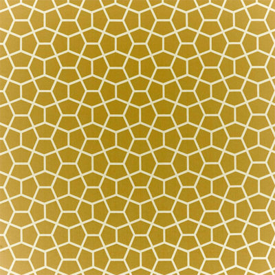 Glyptic Fabric