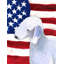 2 côtés en polyester de 2 côtés american drapeau de jardin-1288238566