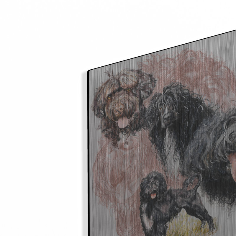 «Chien d'eau portugais» par Barbara Keith, H 16 po x l 12 po