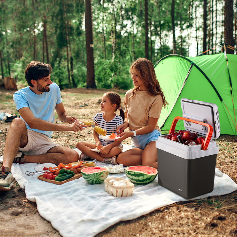 Picnic Cooler
