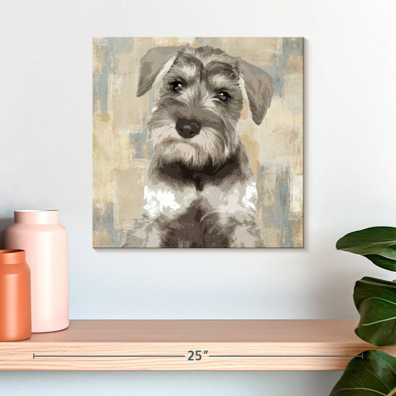 Crowle Miniature Schnauzer, 16" H x 16" W