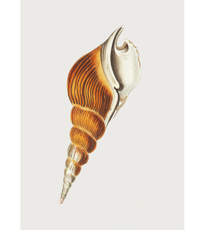 1 Piece Wrapped Canvas Wall Art