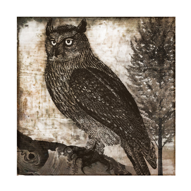 Bolog Sasha Owl 2 Canvas Art, 18" H x 18" W