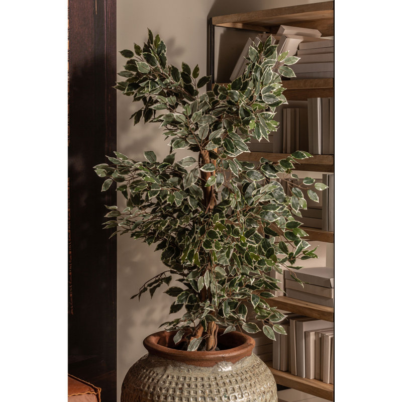 Ficus Faux Plant