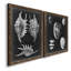 Alabaster Shells V - ensemble de 2 reproductions d'art sur toile-1622766317-1622766316