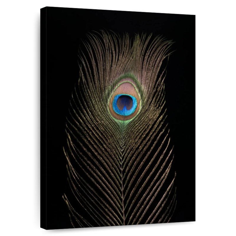 Brampt Posh Peacock Feather, 39" H x 26" W