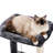 Cullinan 17.4'' H Cat Tree