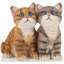 Animals Figurines & Sculptures