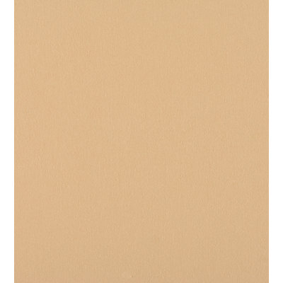 Essential Cottons Canvas Fabric