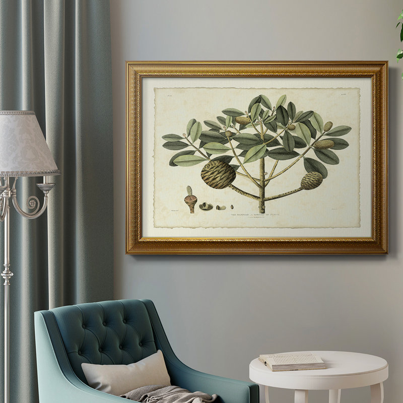 " Delicate Botanical IV "