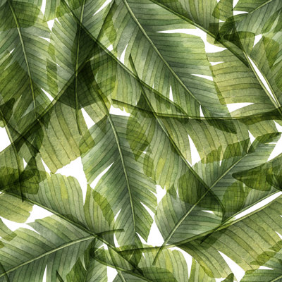 Palm Leaves by Rudy Balasko - Wrapped Canvas Print
