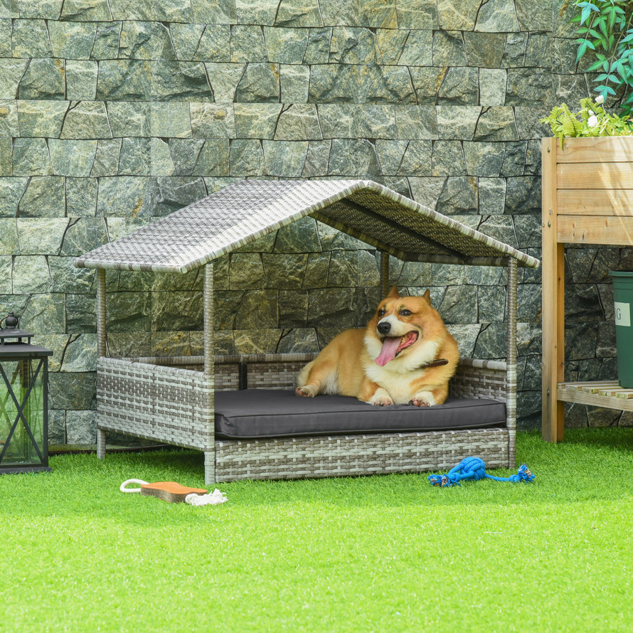 Dog lounging in a gray wicker pet bed.