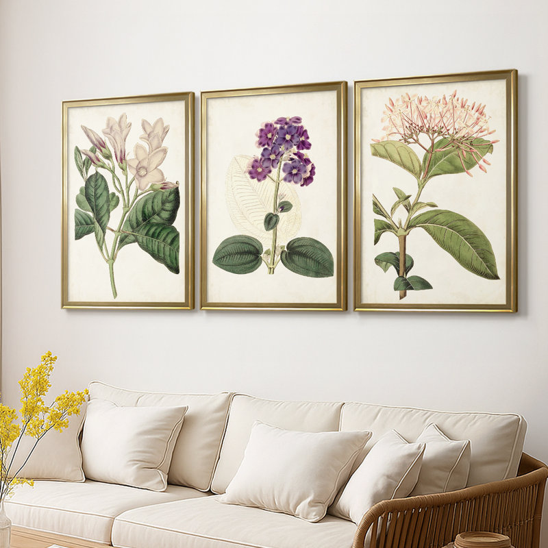 Antique Antique Botanical Collection, H 21 po x l 30 po, Doré