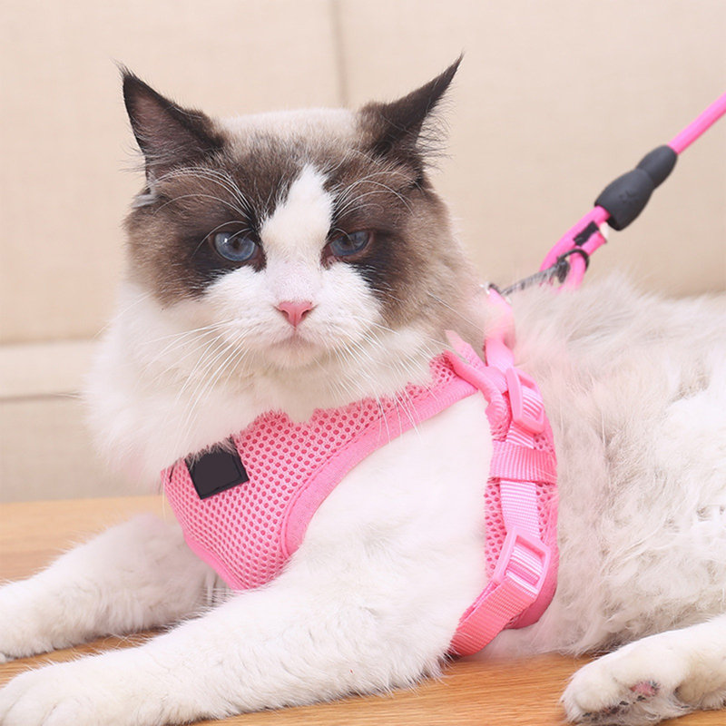 Harnais pour chien Pet Leash, Pink