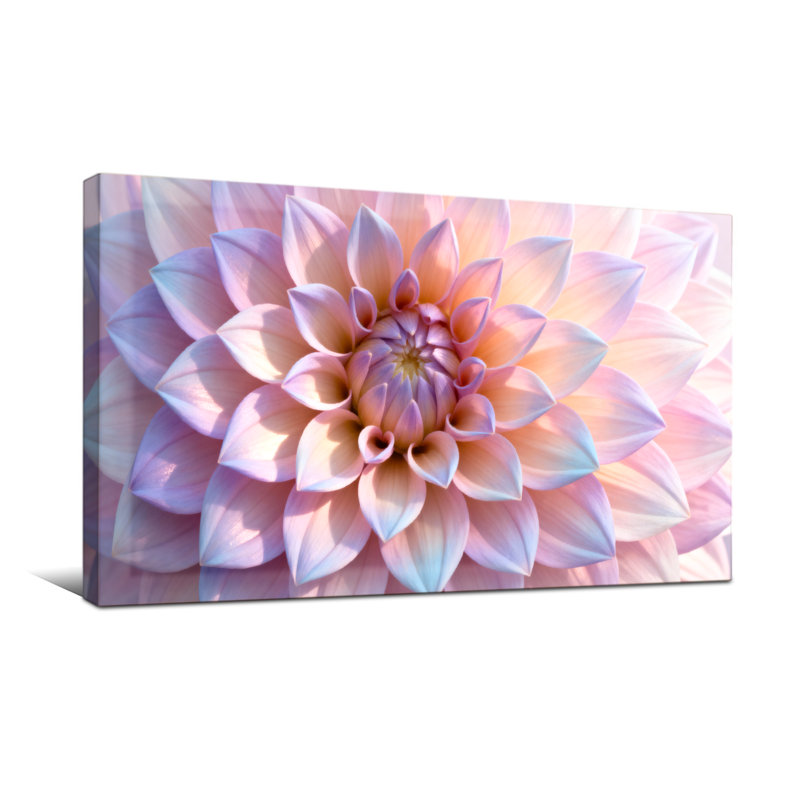 Plantes et fleurs, dahlia pastel, reproduction d'art sur toile, H 24 po x l 48 po