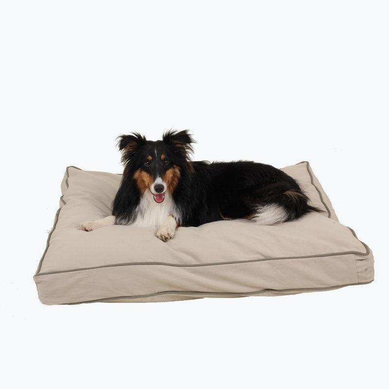 Memory Foam Canvas Pet Bed, Small (36" W x 27" D x 4" H), Khaki/Sage