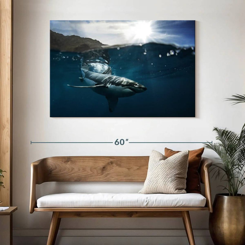 Brampt Shark Sunshine, 32" H x 48" W