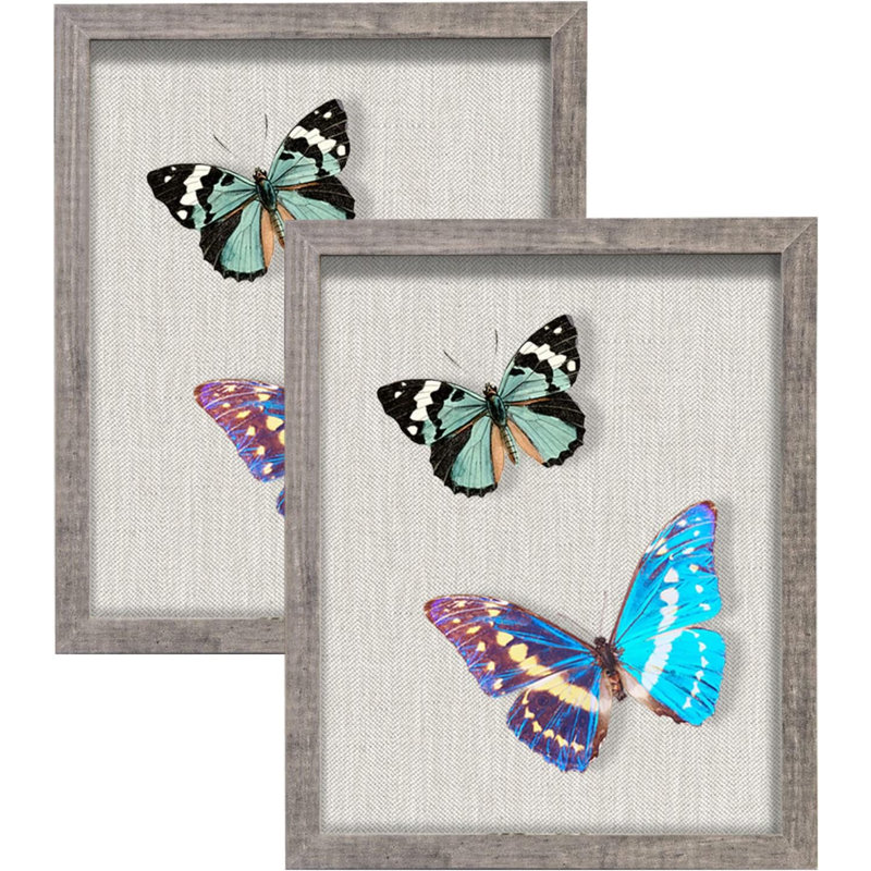 Small Shadow Box Frame With Back - Sturdy Rustic Memory Display Case Of Flower, Pictures, Medals And More, Gray