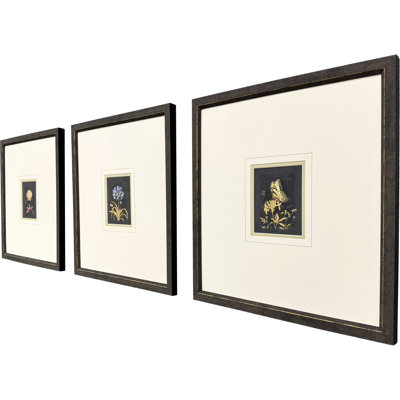 Petite Wonders III Framed Art