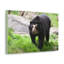 No Frame Print on Canvas-1538426979