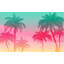 Murale pelez et collez de qualité supérieure - palmiers coucher de soleil tropical-2044104494
