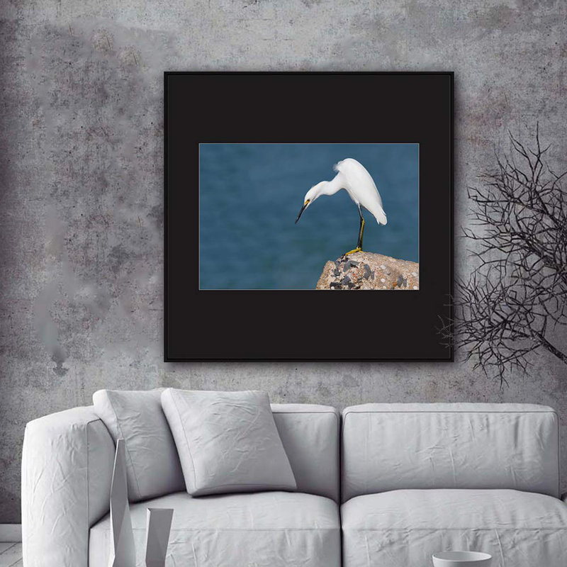 Crane Heron " H07 A Bird Standing ", Black, 24" H x 24" W
