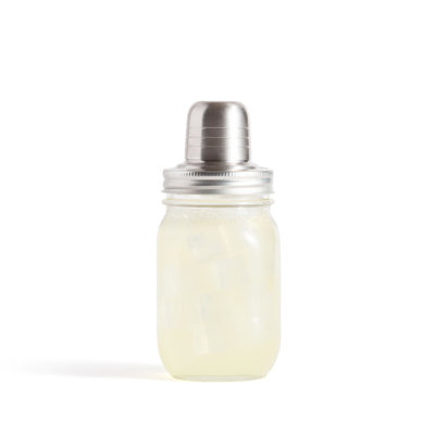 Stainless Steel Shaker