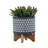 8" Planter On Wooden Stand, Gray
