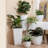 Eldwun 2 Piece Resin Pot Planter, Indoor/Outdoor Garden Flower Pots-801690088-744790225