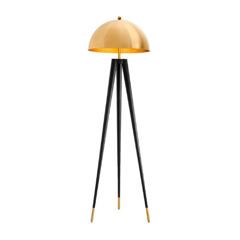 Coyote Tripod Floor Lamp