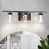 Argent / nickel