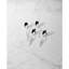 Cantera Teaspoons, Set of 4