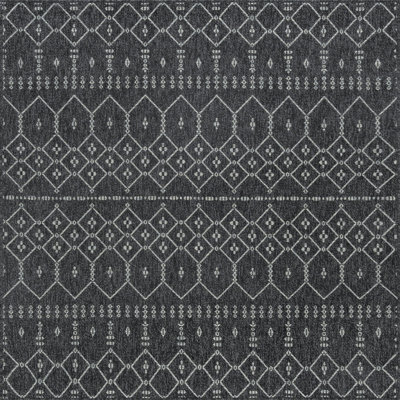 Ahders Indoor / Outdoor Rug