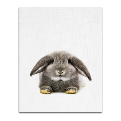 « lapin ii », impression