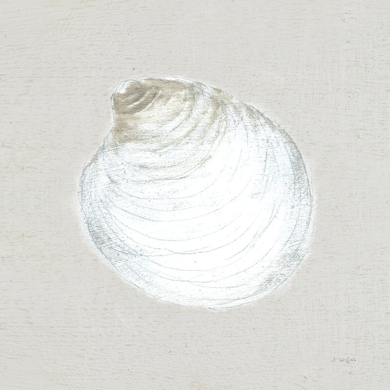 Serene Shells II by James Wiens - Wrapped Canvas Painting, 30cm H x 30cm W x 3.8cm D