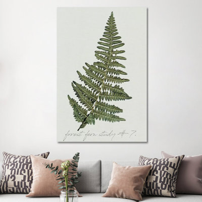 Fern Fernandes II par Carol Robinson, impression sur toile tendue