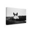 « flirt white cheval », reproduction de photo sur toile tendue-30314456