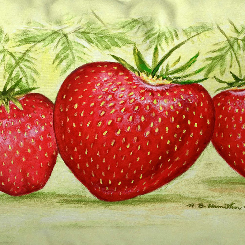 Coussin intérieur / extérieur Strawberries