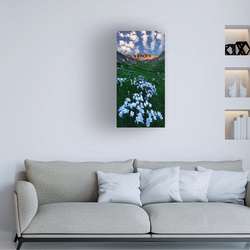 Art sur toile Mei Xu, H 19 po x l 10 po