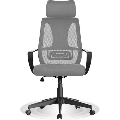 Maxola Mesh Office Chair
